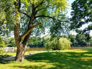 Fox River Park