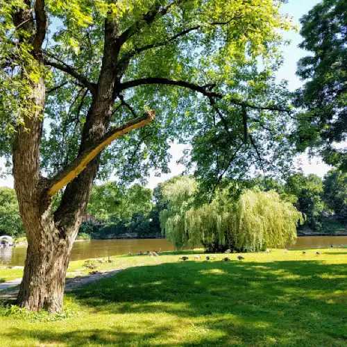 Fox River Park