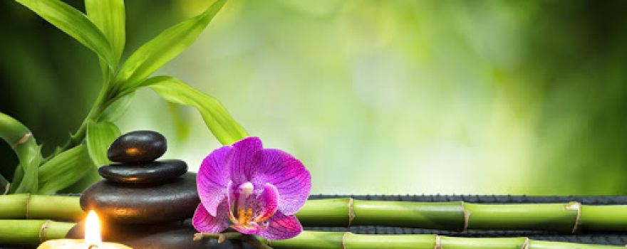 Wellness centar Lela