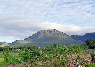 Bukit Nitelong