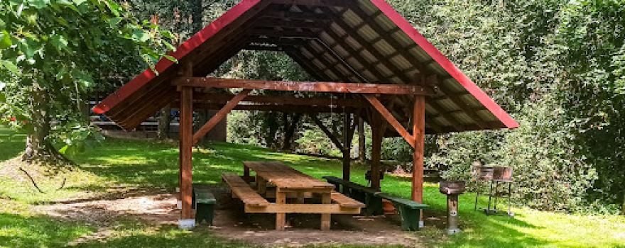 Camping at Drzewiczka