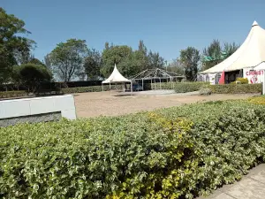 CITAM Nakuru [Christ is the Answer Ministries]