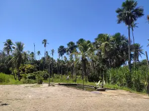 Lira EcoPark