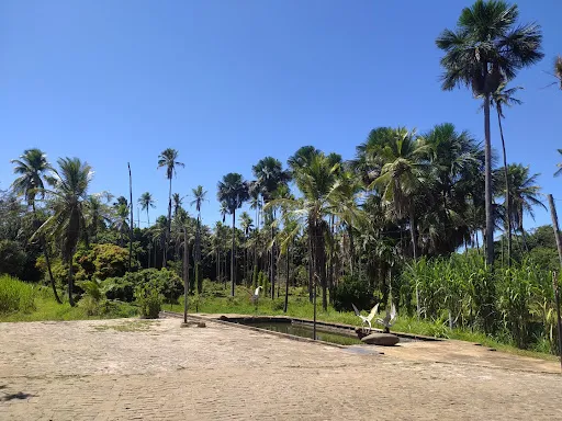 Lira EcoPark