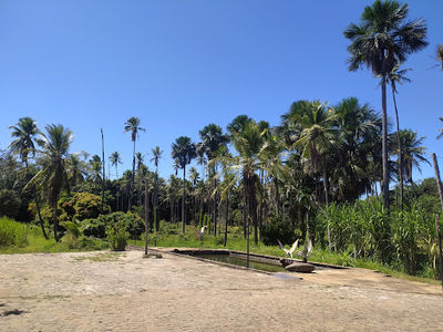 Lira EcoPark