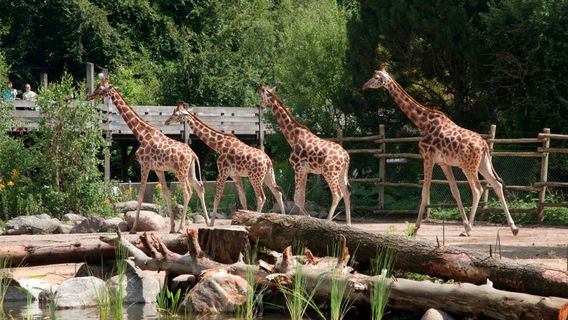 Amersfoort Zoo