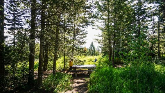 Sunrise Campground