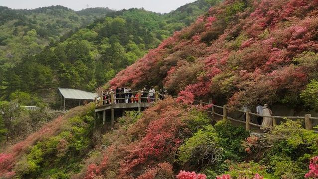 yun wu shan da xia gu