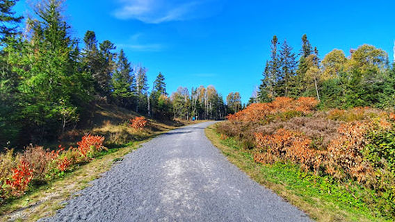 Wells Recreation Park