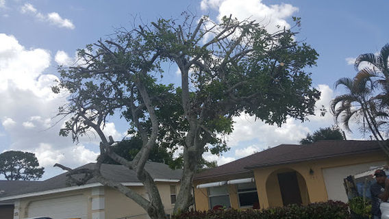 Naples Park Community Garden