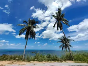 หาดพลายดำ