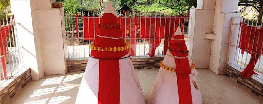 Pahalwan Bir Baba Temple Haripatti
