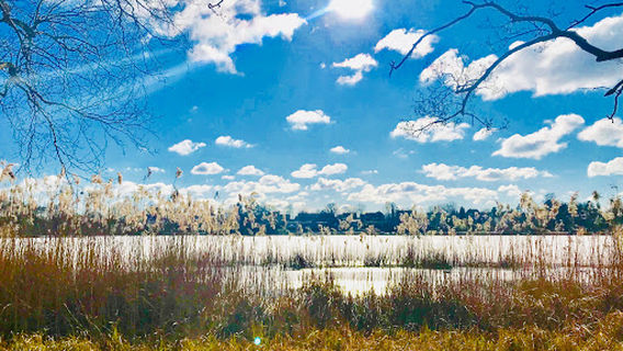 Lyngby Folkepark