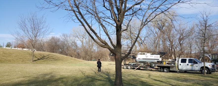 Bellbrook Park