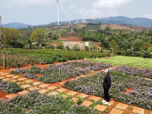 Vườn hoa Chân Trời - Điểm thanh toán Viet QR (Agribank)