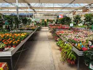 Oasis Garden