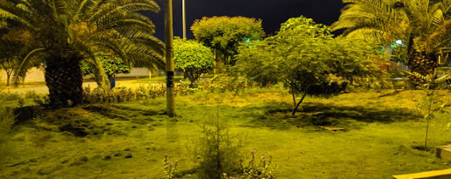 Gonchillo Bajo Park
