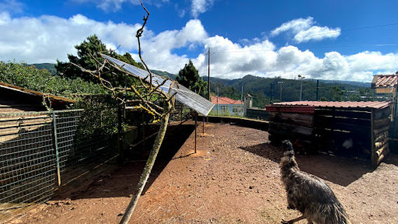 School Farm dos Prazeres