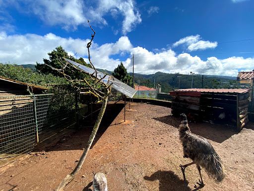 School Farm dos Prazeres