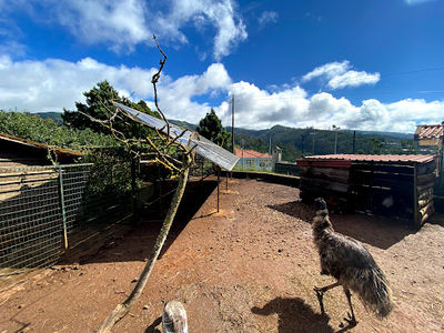 School Farm dos Prazeres