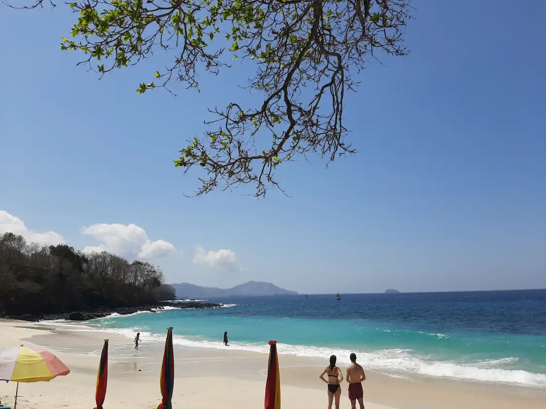 Hotels near Bias Tugel Beach