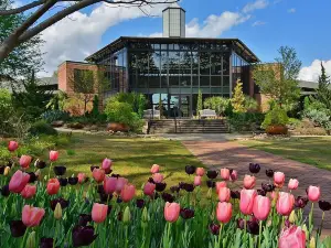 Cape Fear Botanical Garden