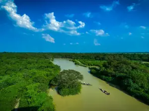 Ratargul Swamp Forest