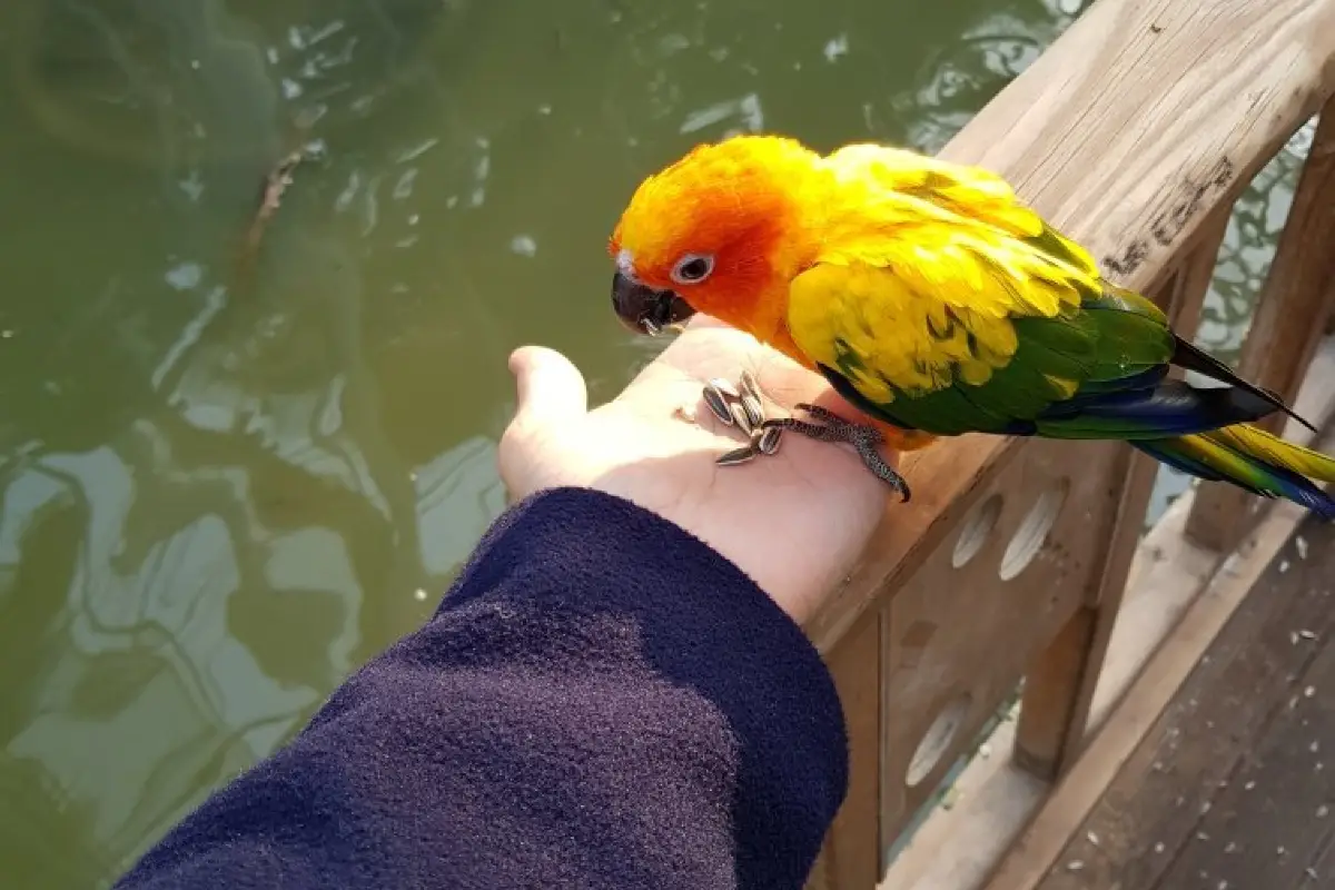 경주 버드파크 입장료