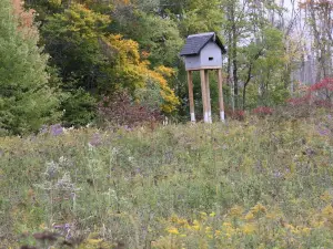 Huron Natural Area