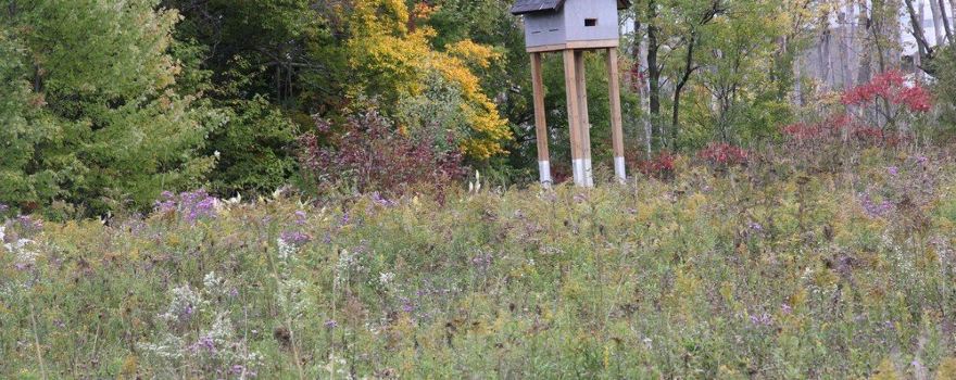 Huron Natural Area
