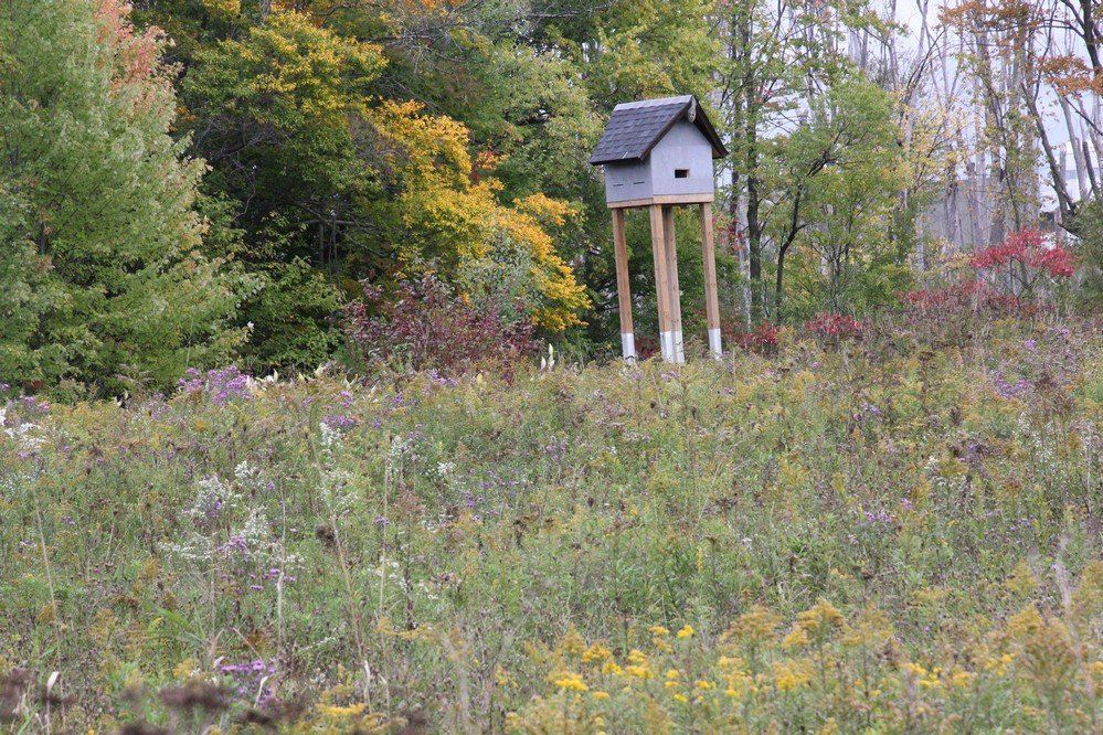 Huron Natural Area
