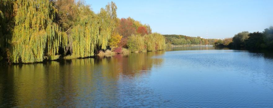 Парк Дружбы народов