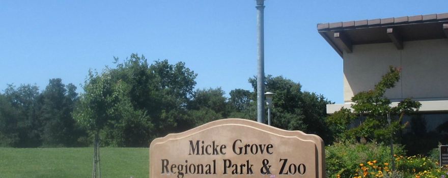 Micke Grove Zoo