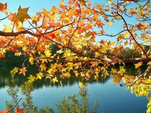 Sandy Bottom Nature Park