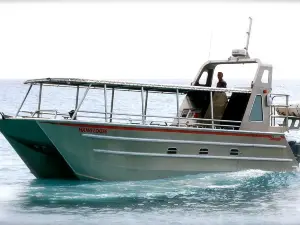 Hang Loose Boat Tours