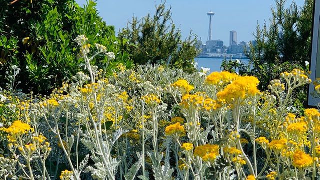 Hamilton Viewpoint Park