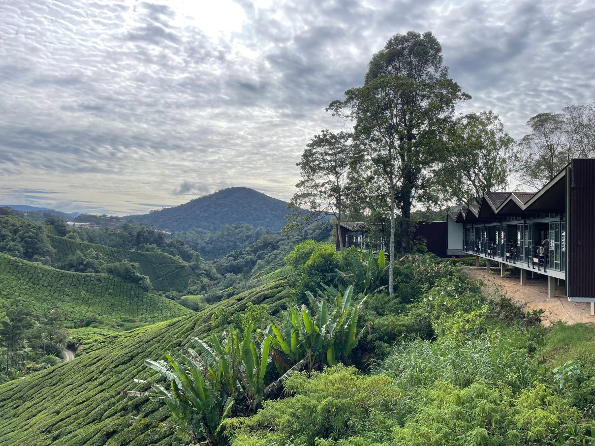 BOH Tea Centre (Sungei Palas Garden)