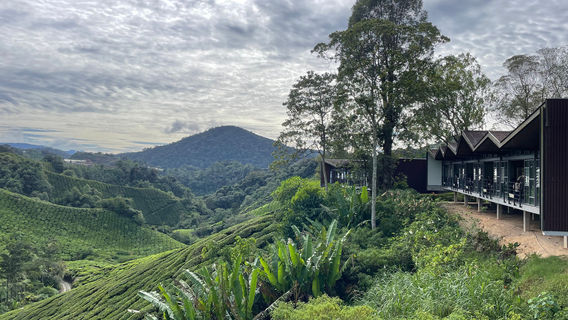 BOH Tea Centre (Sungei Palas Garden)