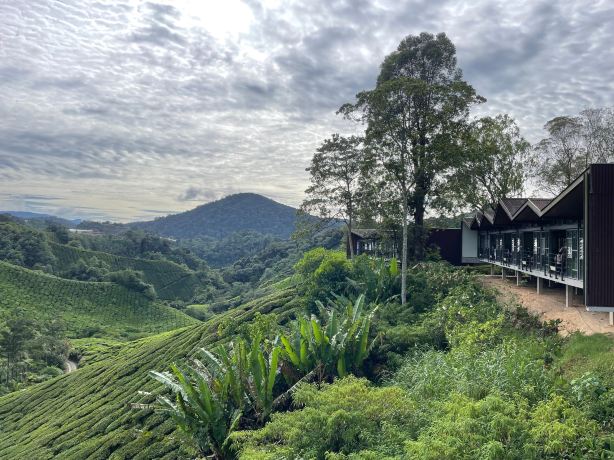 BOH Tea Centre (Sungei Palas Garden)