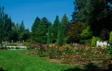 Woodland Park Rose Garden
