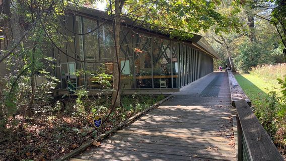 BREC's Bluebonnet Swamp Nature Center