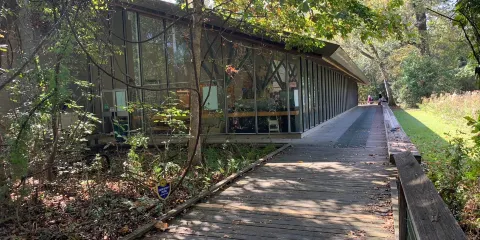 Bluebonnet Swamp Nature Center