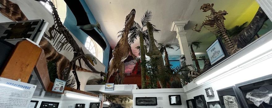 Dinosaurland Fossil Museum