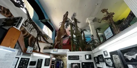 Dinosaurland Fossil Museum