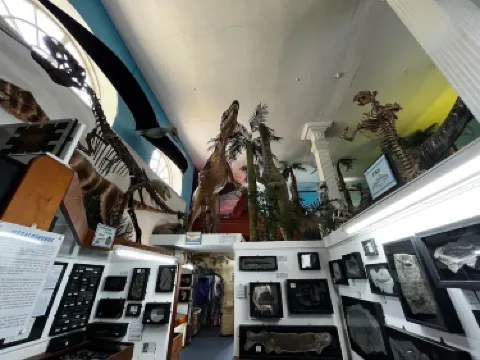 Dinosaurland Fossil Museum