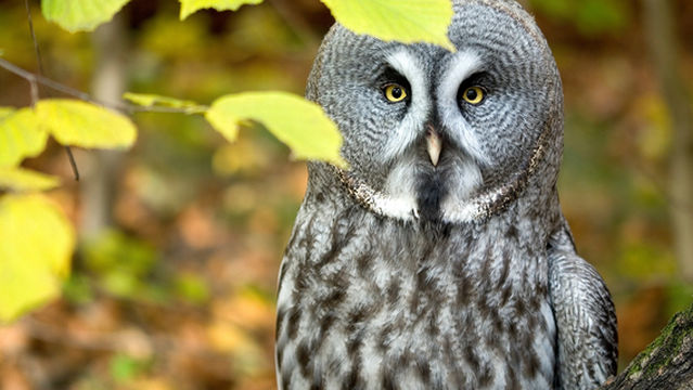 Zoologischer Garten Krakau