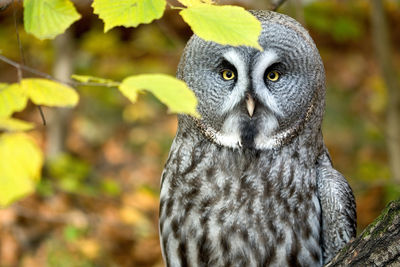 Zoo de Cracovie
