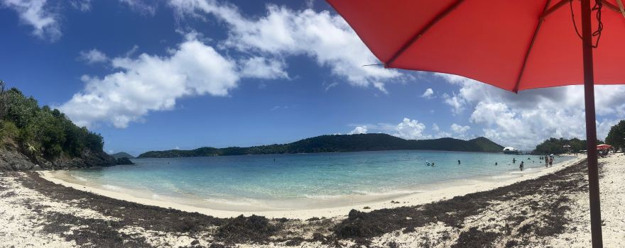 Coki Point Beach