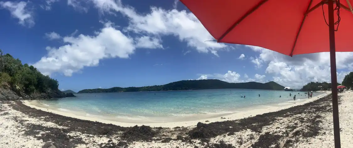Hotels near Coki Point Beach