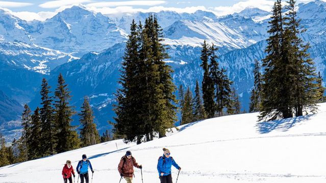 Niederhorn Cable-car